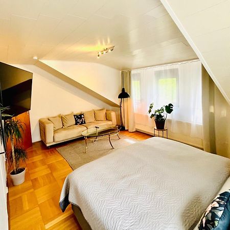 Casa Inn Parkview - Relax & Chill - Perfect For Business Travel, Weekend Trip, Family&Friends, Dogs Lover, Romance, Layover Or Longstay リンブルク・アン・デア・ラーン エクステリア 写真