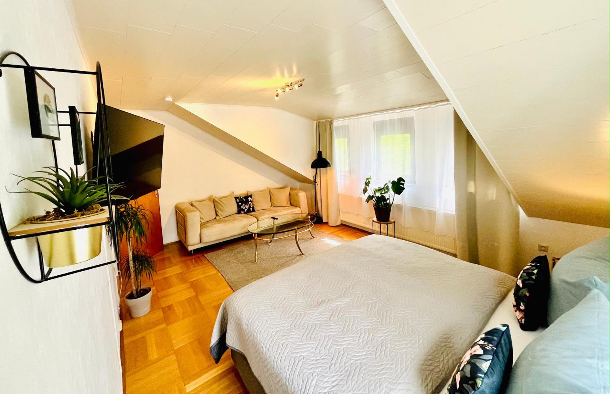 Casa Inn Parkview - Relax & Chill - Perfect For Business Travel, Weekend Trip, Family&Friends, Dogs Lover, Romance, Layover Or Longstay リンブルク・アン・デア・ラーン エクステリア 写真